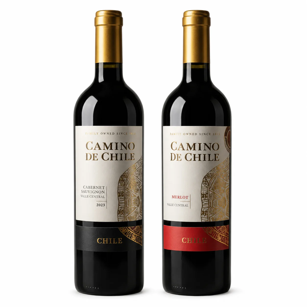 Vinho Chileno Tinto Camino de Chile Cabernet Sauvignon & Merlot 750ml